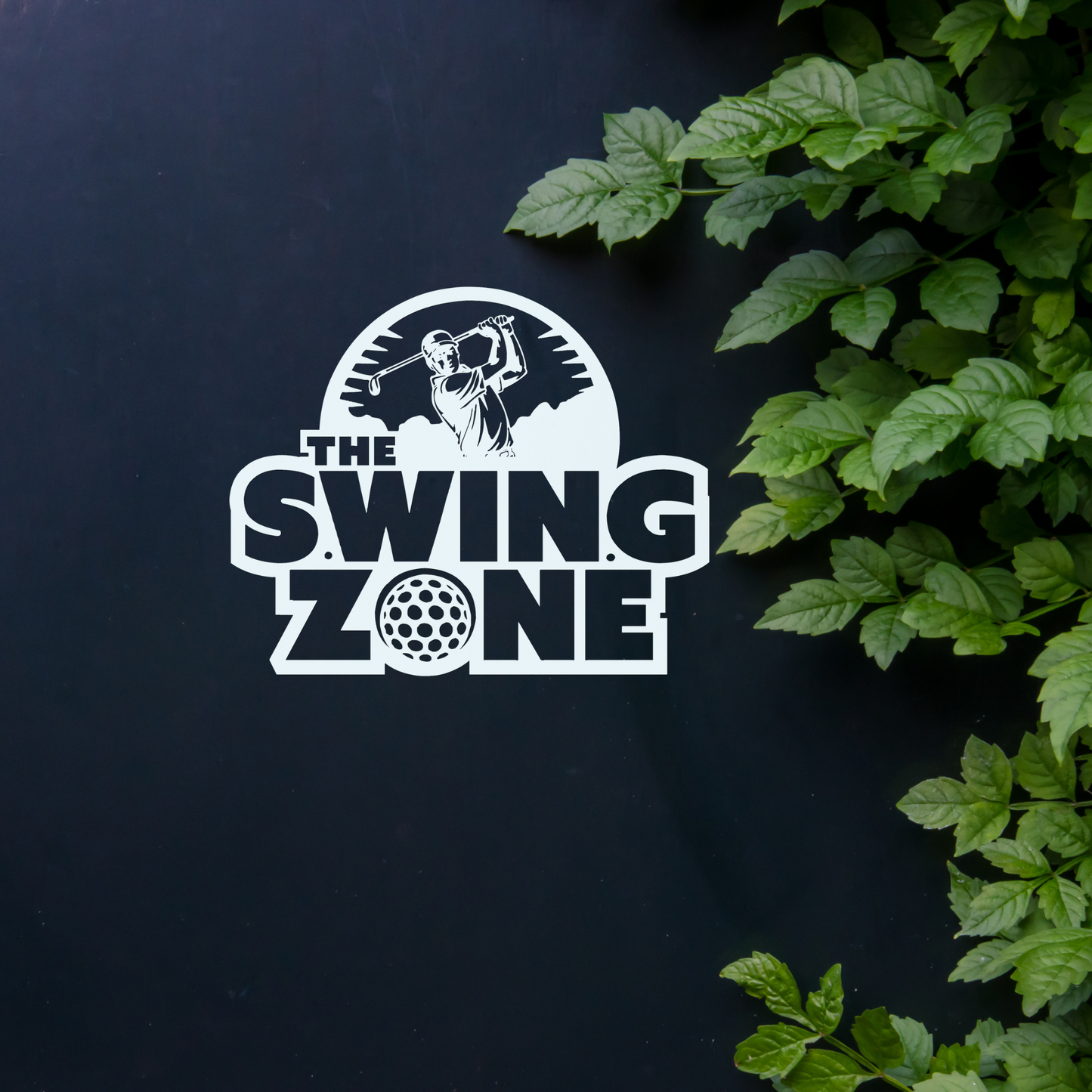 The Swing Zone- Metal Wall sign for Swingers